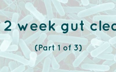 The 2 week gut cleanse   (Part 1 of 3)