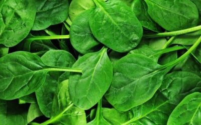 Superfood Spinach!