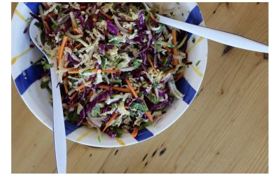 The Holistic Ingredients Healthy Asian COLESLAW